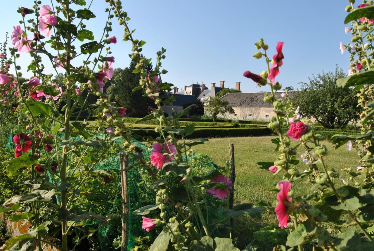 Chateau La Touanne Loire Valley Baccon Exterior foto