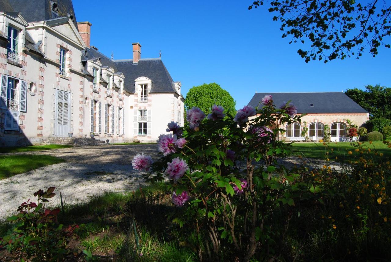 Chateau La Touanne Loire Valley Baccon Exterior foto