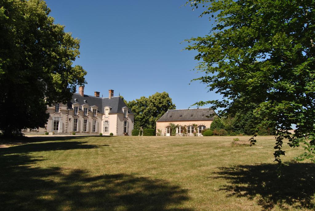 Chateau La Touanne Loire Valley Baccon Exterior foto