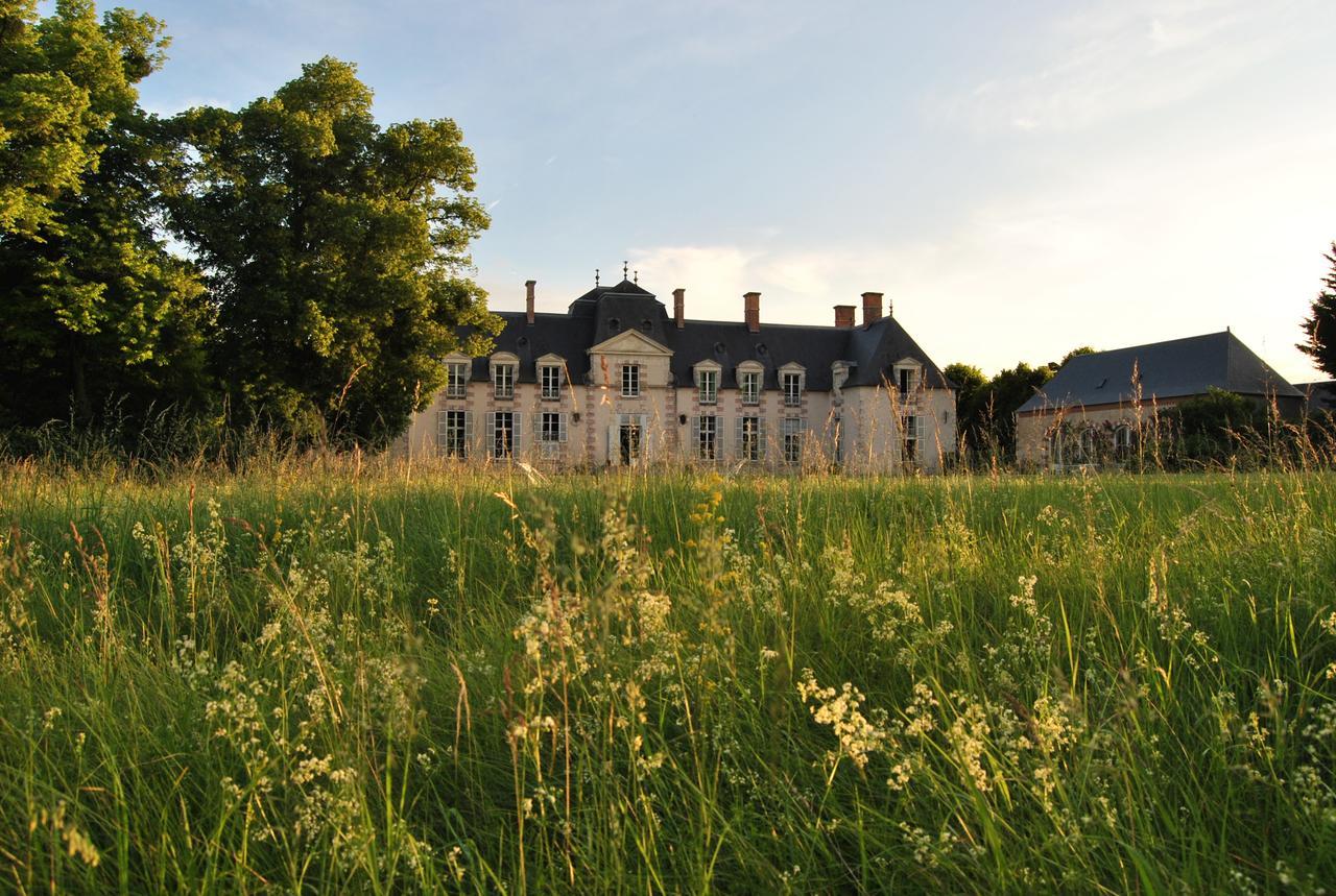 Chateau La Touanne Loire Valley Baccon Exterior foto