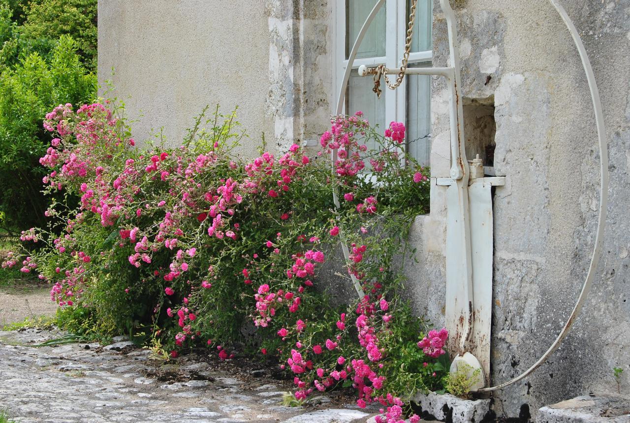 Chateau La Touanne Loire Valley Baccon Exterior foto