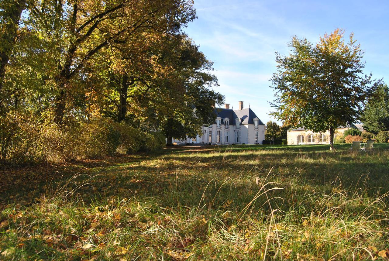 Chateau La Touanne Loire Valley Baccon Exterior foto