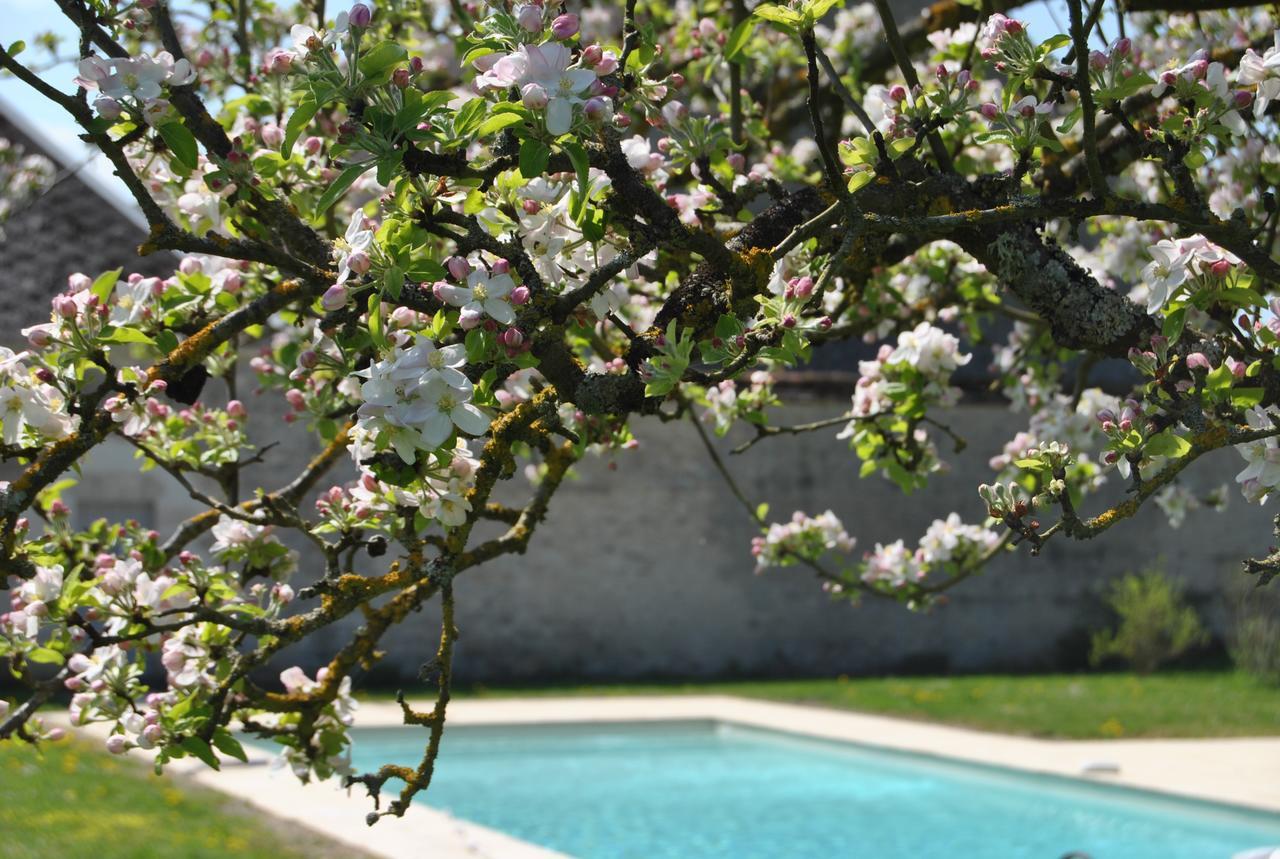 Chateau La Touanne Loire Valley Baccon Exterior foto